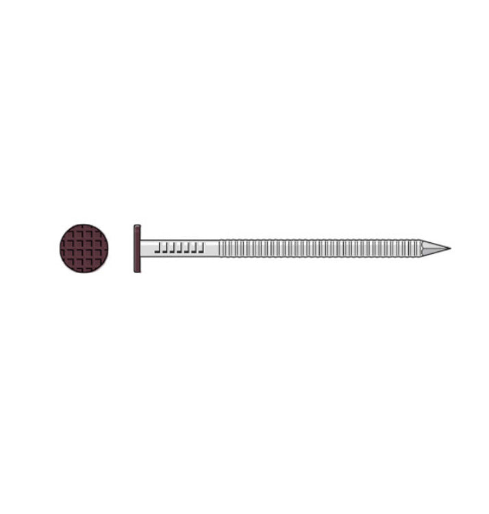 2-1/2" 304 Stainless Steel Ring-Shank Siding Nails Painted - 5# Box