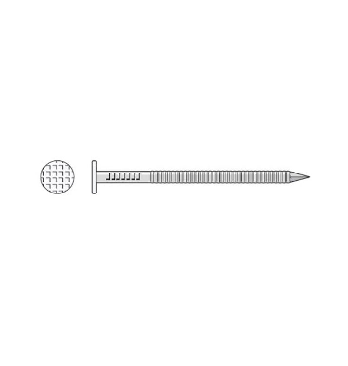 2" 304 Stainless Steel Ring-Shank Siding Nails Painted - 1# Box