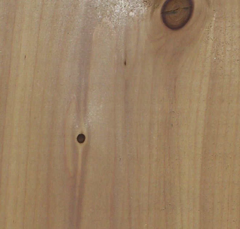 1X6 STK Atlantic White Cedar Tongue & Groove (All 8' Lengths)