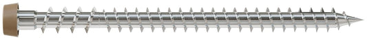 DCU234S316TN Simpson Strong-Tie 2-3/4" DCU Deck-Drive Collated Composite Screw Type 316 Stainless Steel Painted Tan 1000-CT Carton